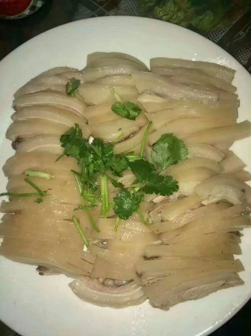 巴马香猪