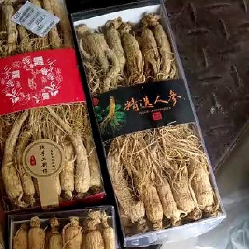 人参生晒参吉林人参半斤装20支每盒中通包邮
