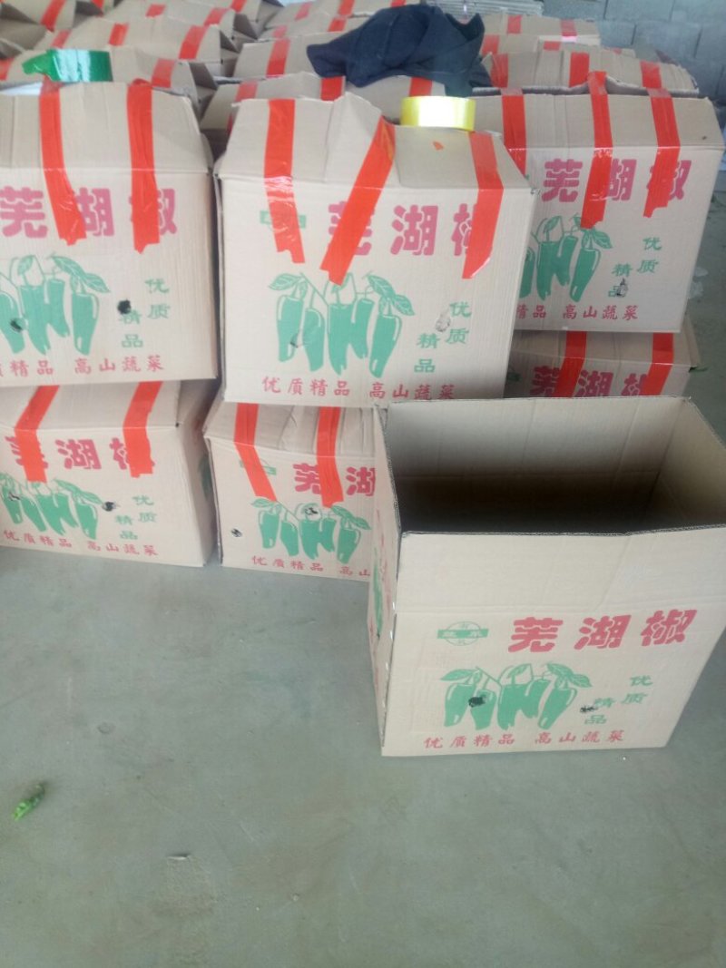 薄皮椒鲜辣椒，芜湖椒，大量上市，欢迎客户光临，合作共赢。