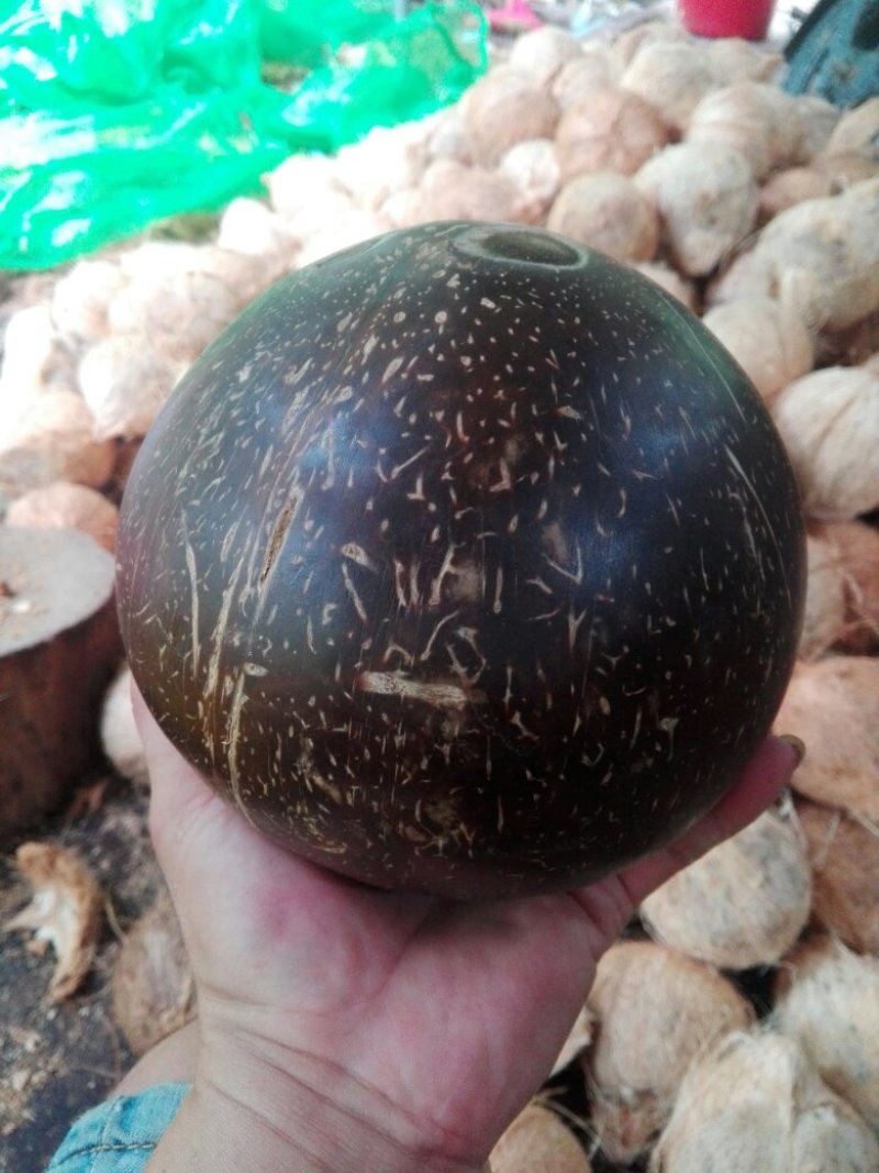 椰皇
