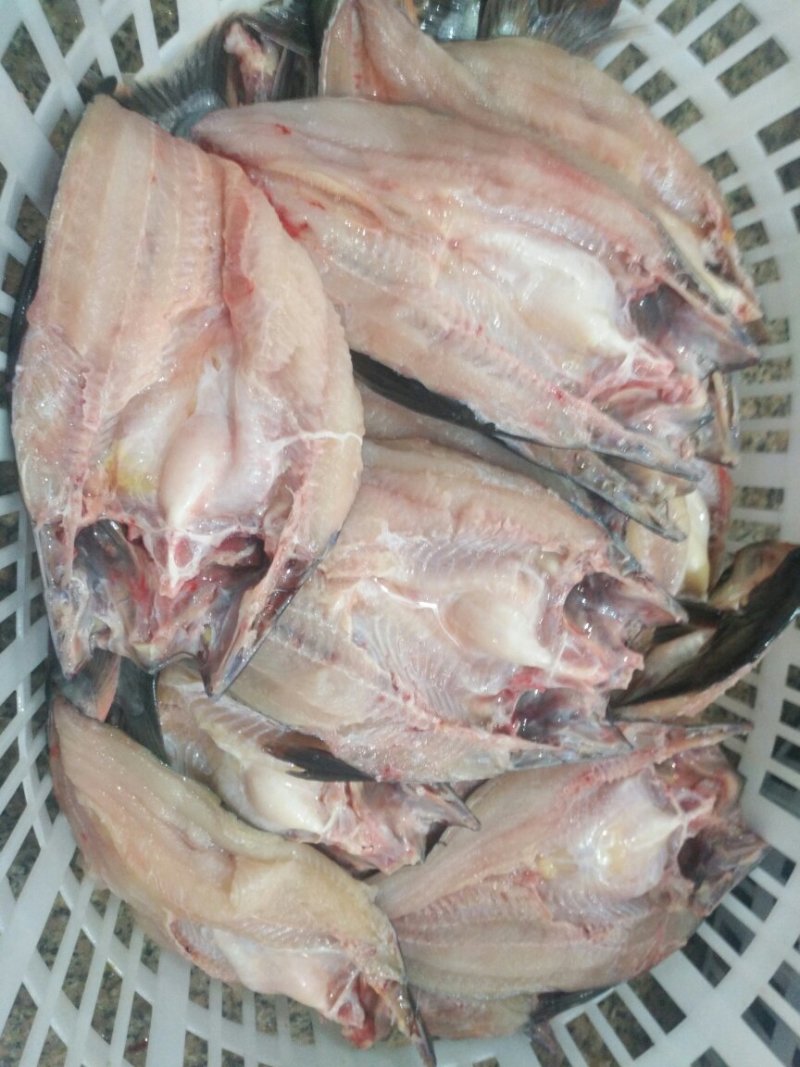 巴沙鱼
