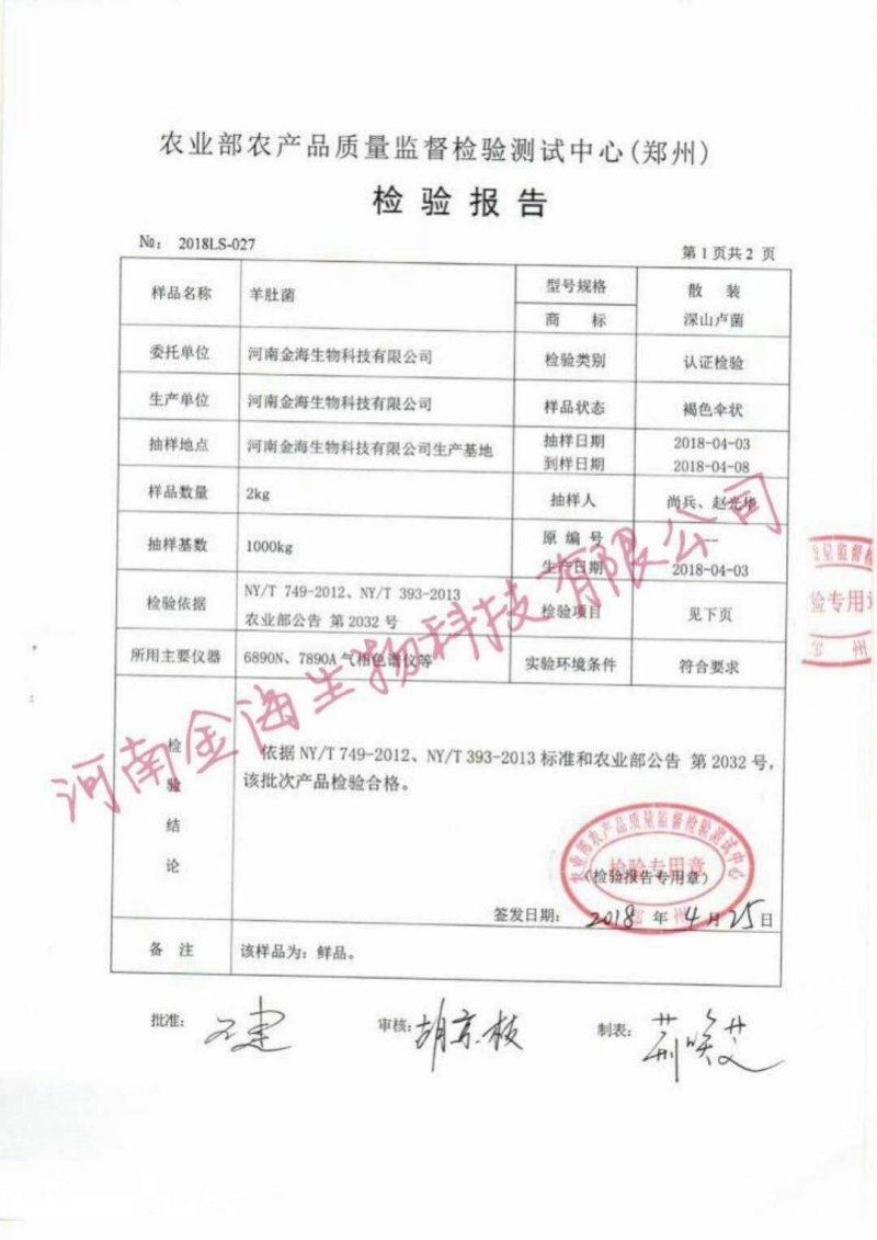 河南金海生物羊肚菌菌种推广，免费学习种植技术