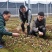 河南金海生物羊肚菌菌种推广，免费学习种植技术