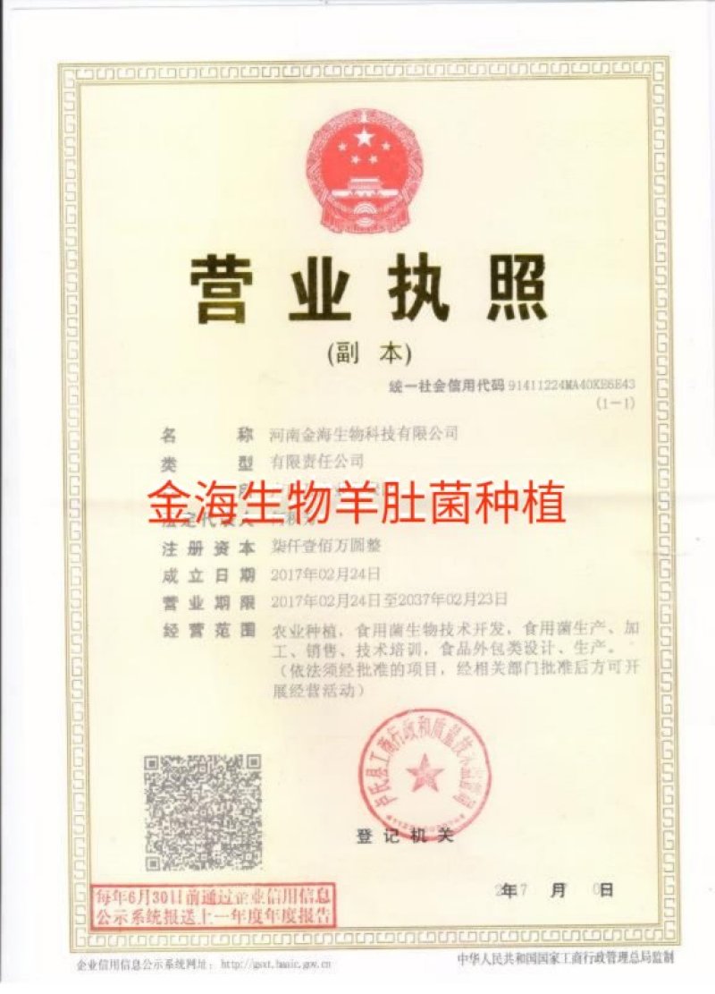 河南金海生物羊肚菌菌种推广，免费学习种植技术