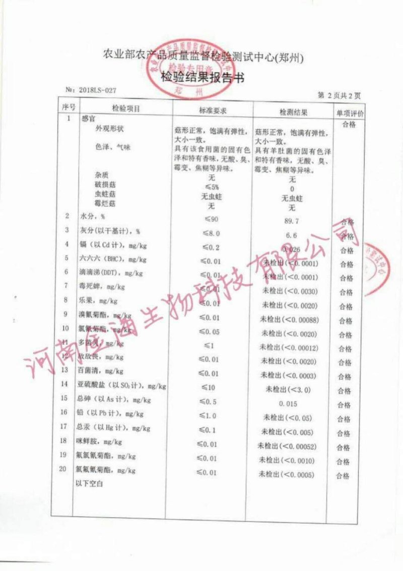 河南金海生物羊肚菌菌种推广，免费学习种植技术