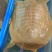 原生态甲鱼