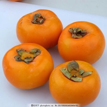 小尖柿