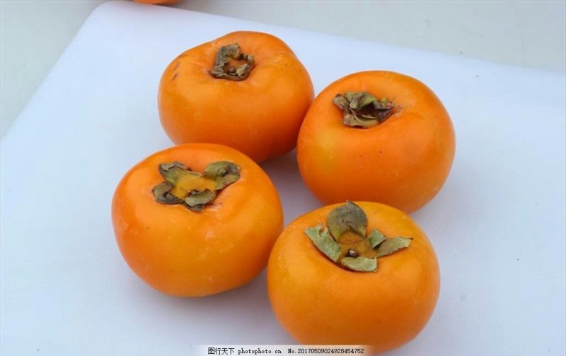 小尖柿