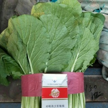 精品小白菜，质量有保证，产地真供，专业包装团队