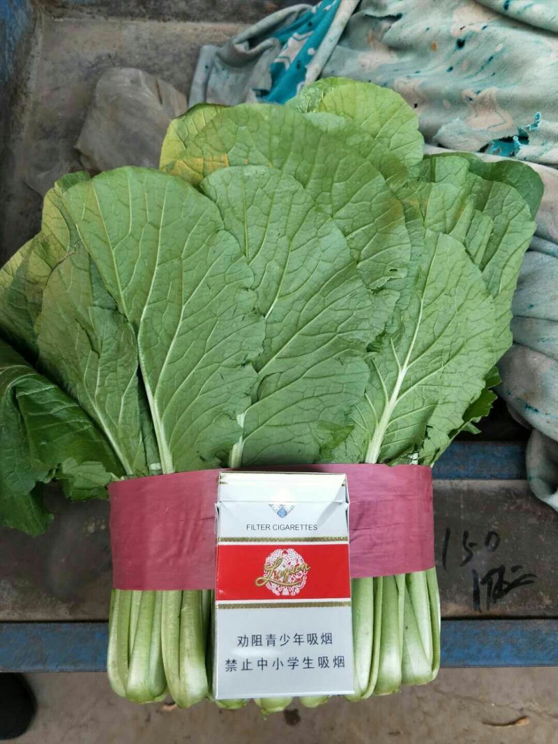 精品小白菜，质量有保证，产地真供，专业包装团队
