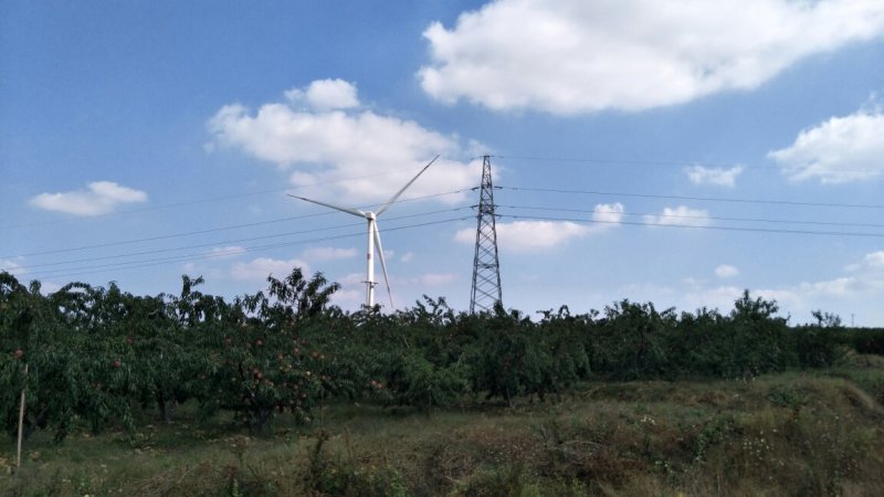 映霜红80起步糖分15以上标光一级