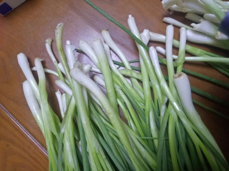 香葱小葱10~15cm