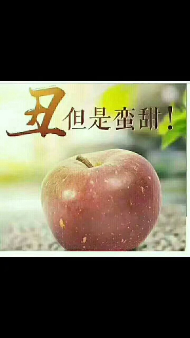 盐源苹果