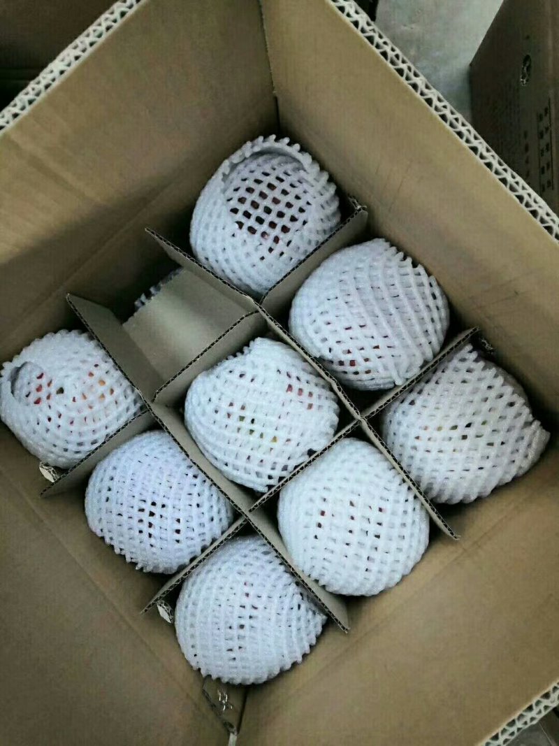 盐源苹果