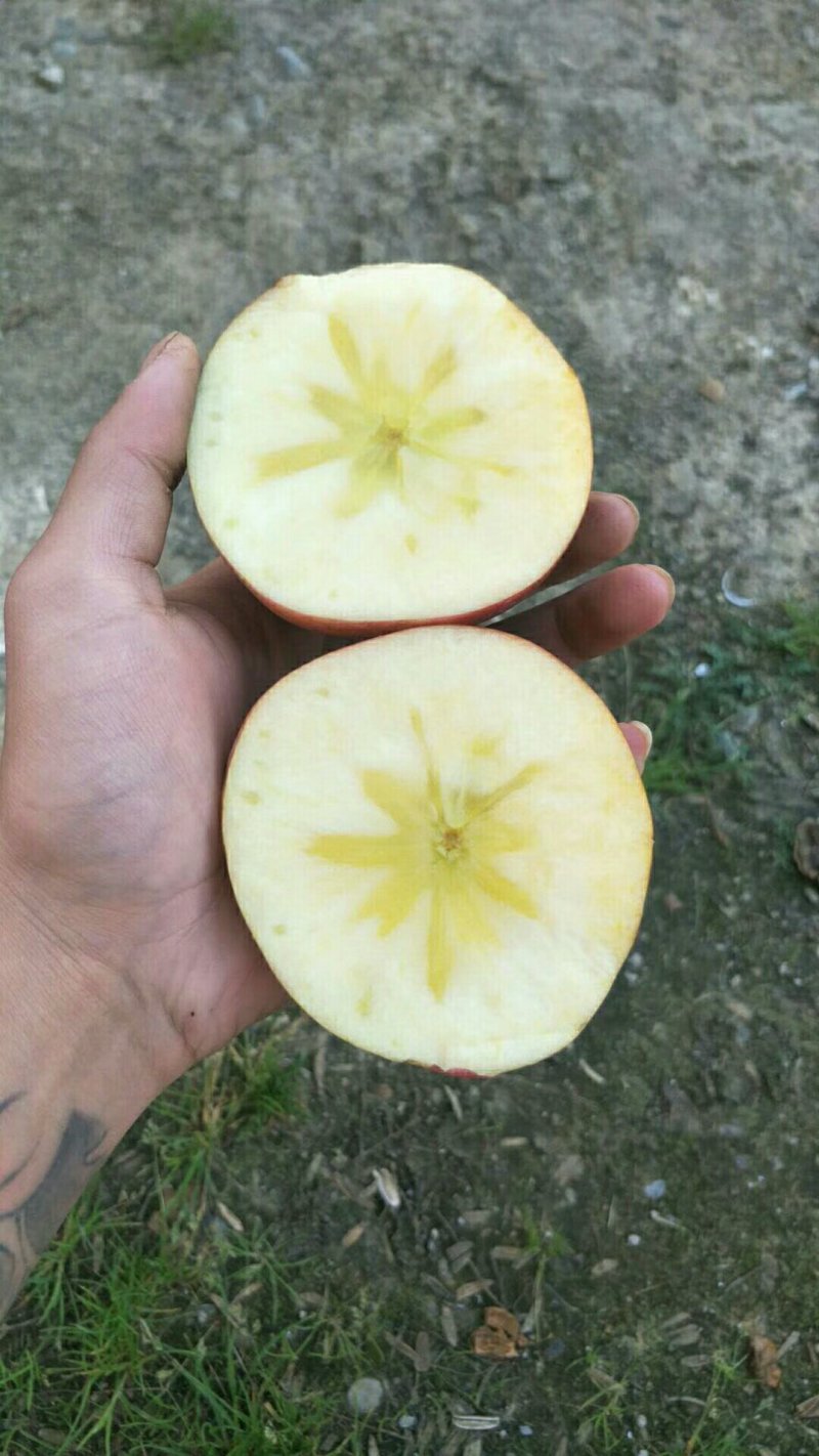 盐源苹果