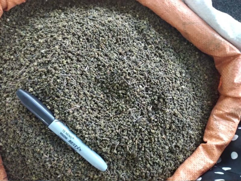 吴茱萸