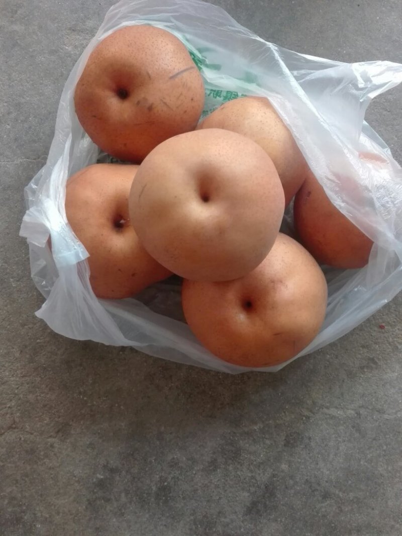 黄金酥梨子