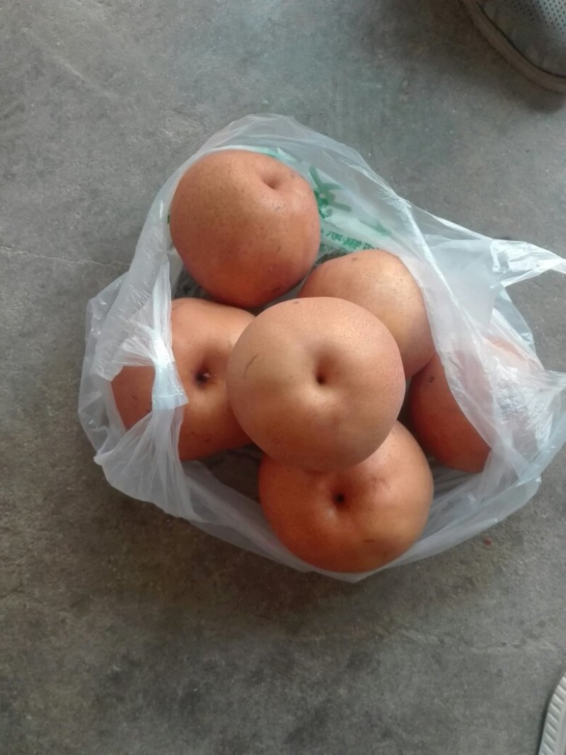 黄金酥梨子