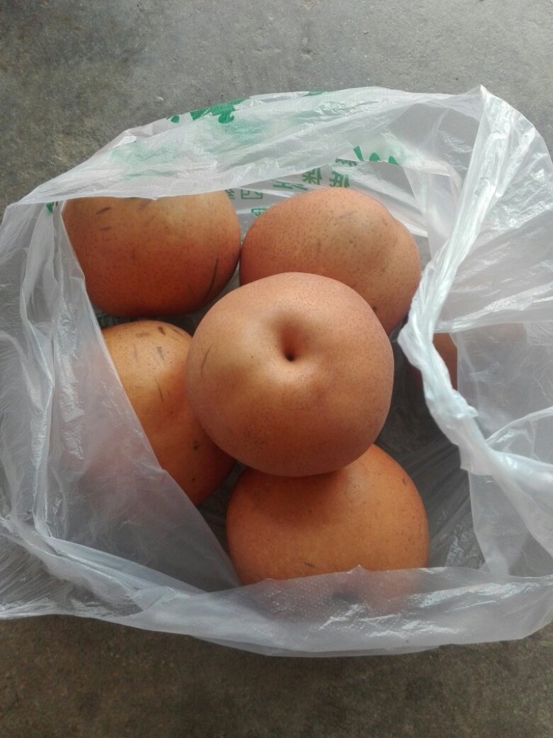 黄金酥梨子