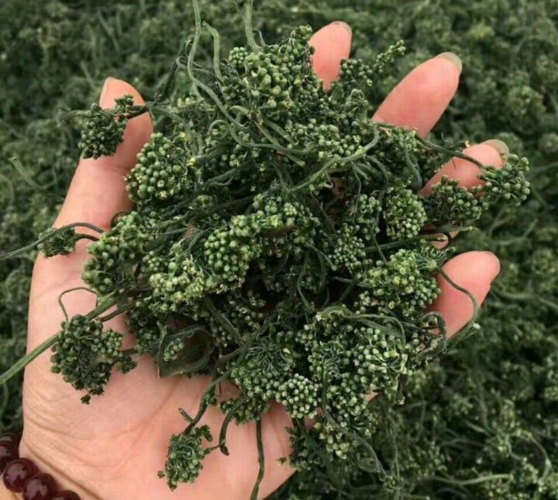 人参花新货颜色各种中药材批发质量保证泡茶泡水