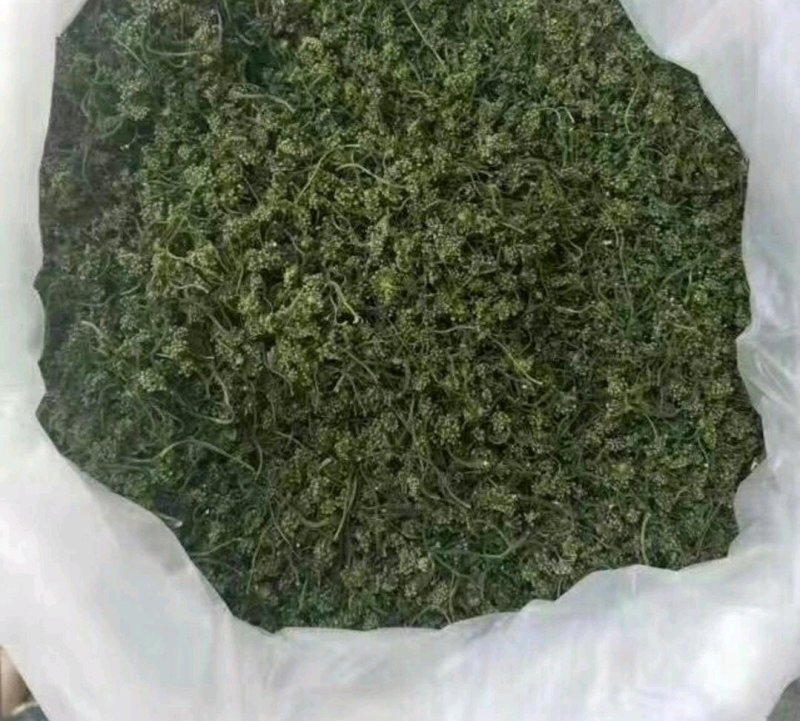 人参花新货颜色各种中药材批发质量保证泡茶泡水