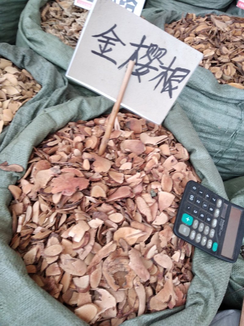金樱根