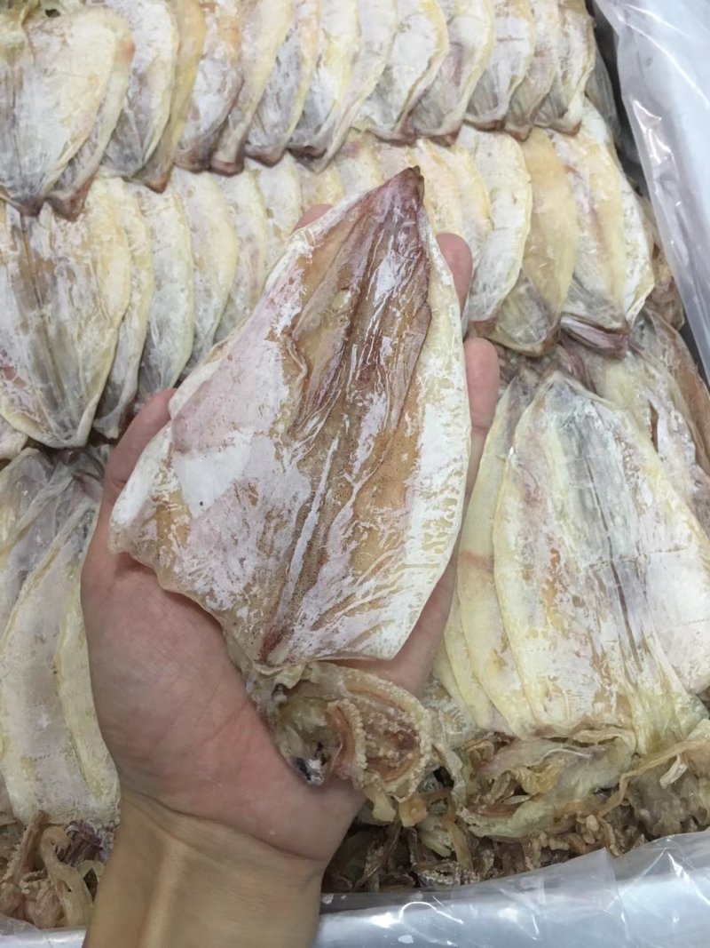 【一手货源】广东烧烤鱿鱼干专用批发