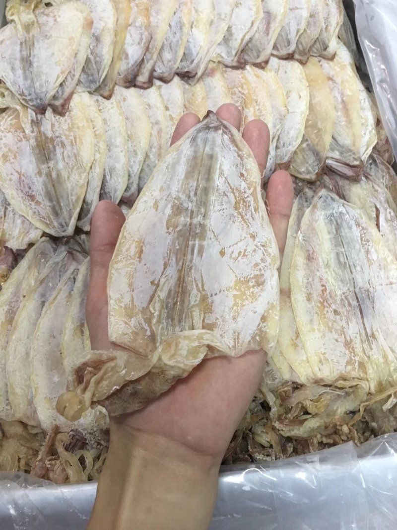 【一手货源】广东烧烤鱿鱼干专用批发