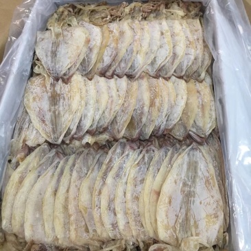 【一手货源】广东烧烤鱿鱼干专用批发