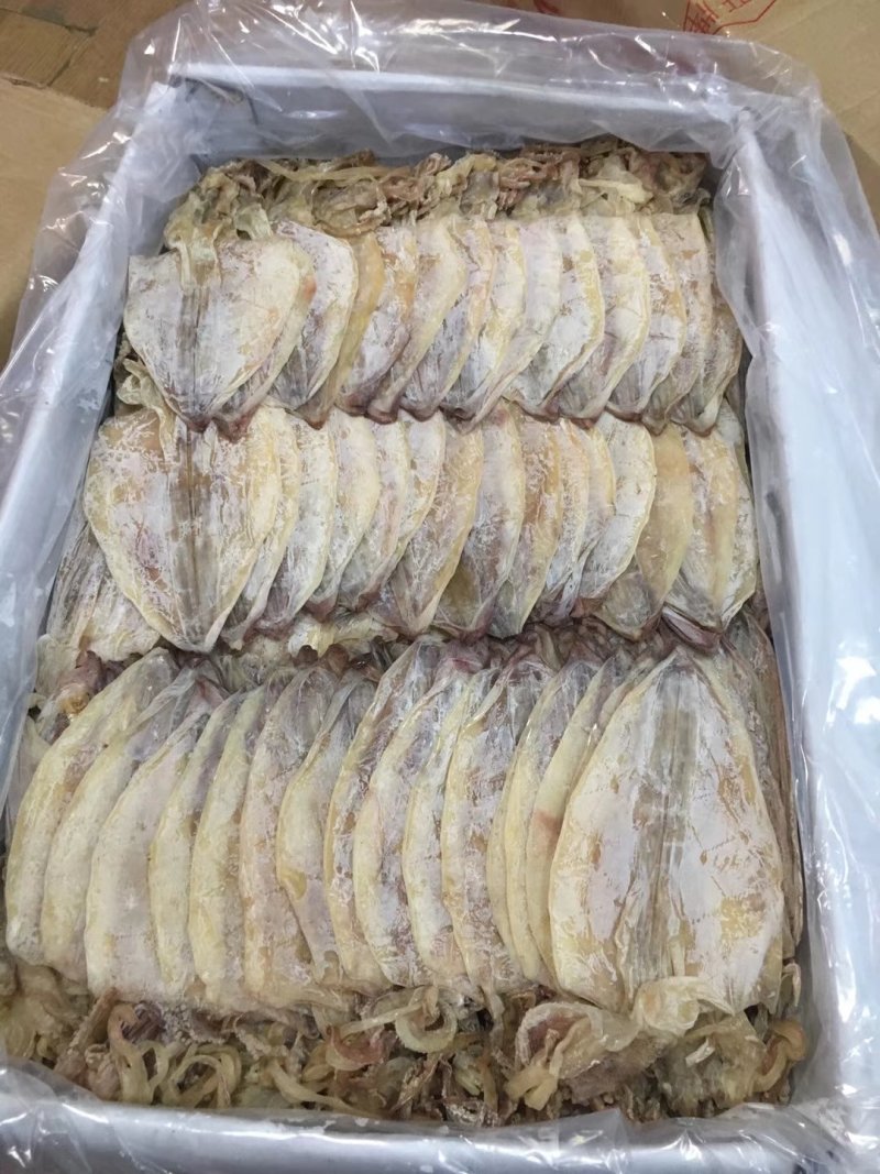 【一手货源】广东烧烤鱿鱼干专用批发