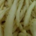 山胡萝卜沙参，山地瓜