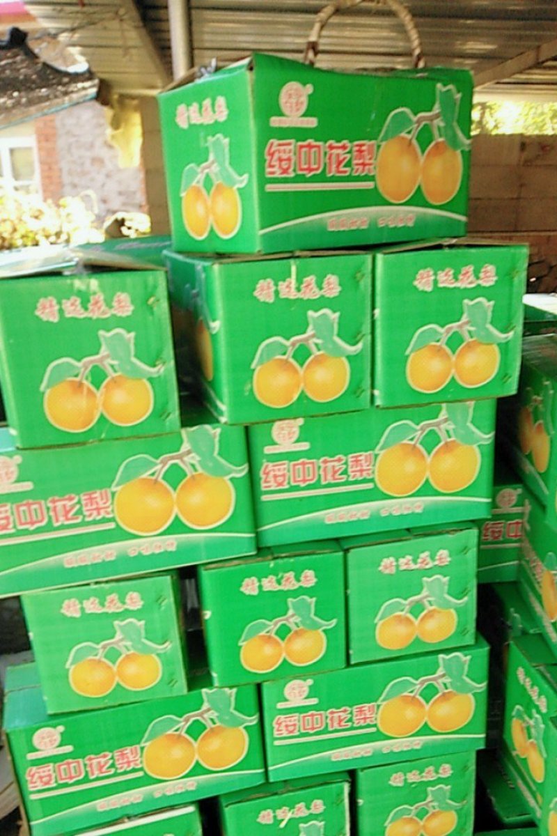 绥中优质黄花梨花盖梨东北冻梨产地对接大量供应