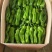 精品鲜辣椒芜湖椒现摘现发一手货源对接批发市场超
