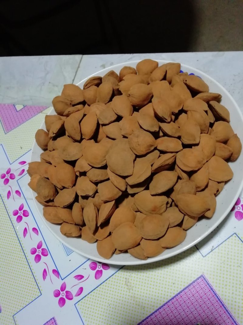 出售大扁杏杏核