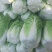 大白菜、黄心大白菜，玲珑黄白菜，产地批发，价格从优