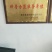 洋葱苗二红洋葱苗黄皮洋葱苗基地直供包回收