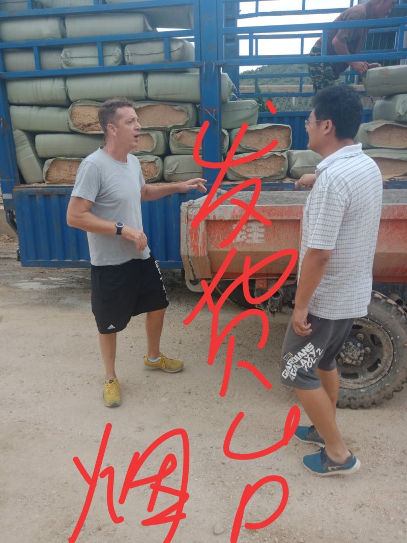 压缩干稻克