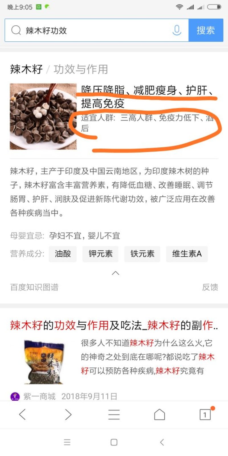 辣木籽货靓饱满野生辣木籽印度辣木籽两版货