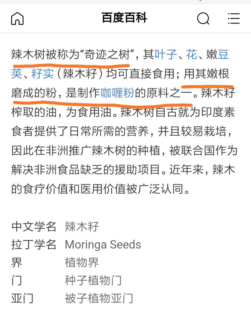 辣木籽货靓饱满野生辣木籽印度辣木籽两版货