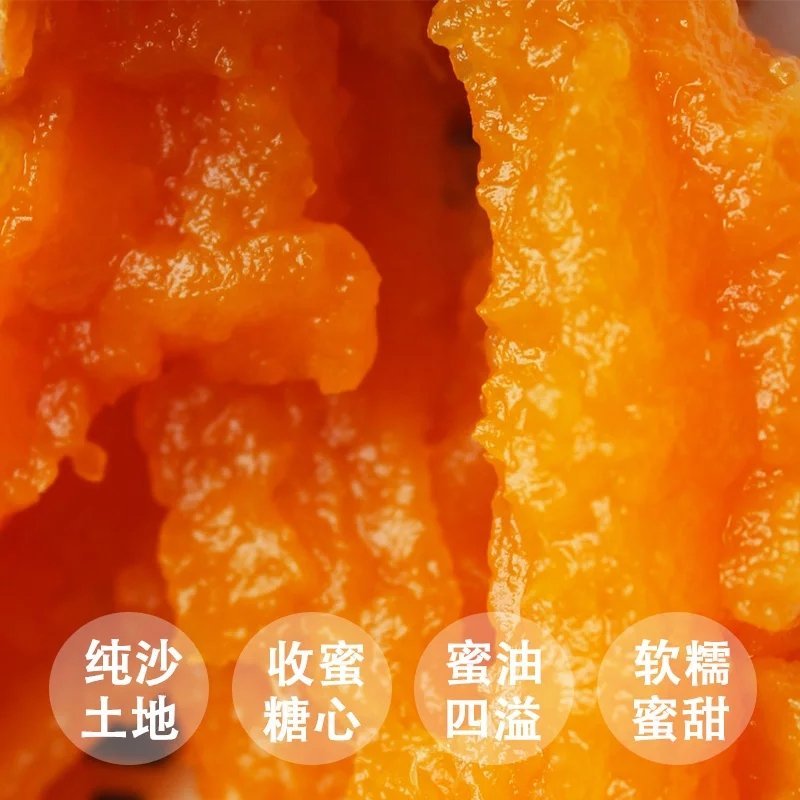 烟薯255斤包邮