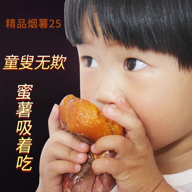 烟薯255斤包邮