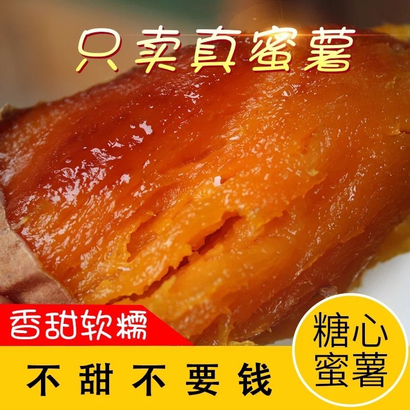 烟薯255斤包邮