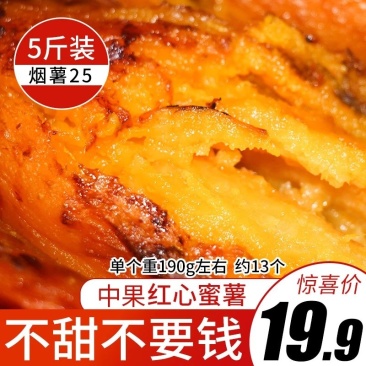 烟薯255斤包邮