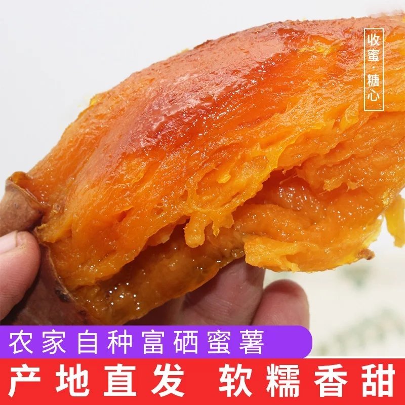 烟薯255斤包邮