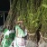 长果桑树苗大果桑苗黑珍珠大十果桑四季果桑嫁接桑树苗
