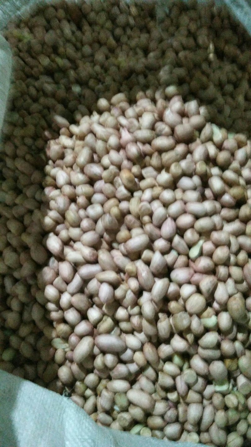 常年供应花生米，量大从优