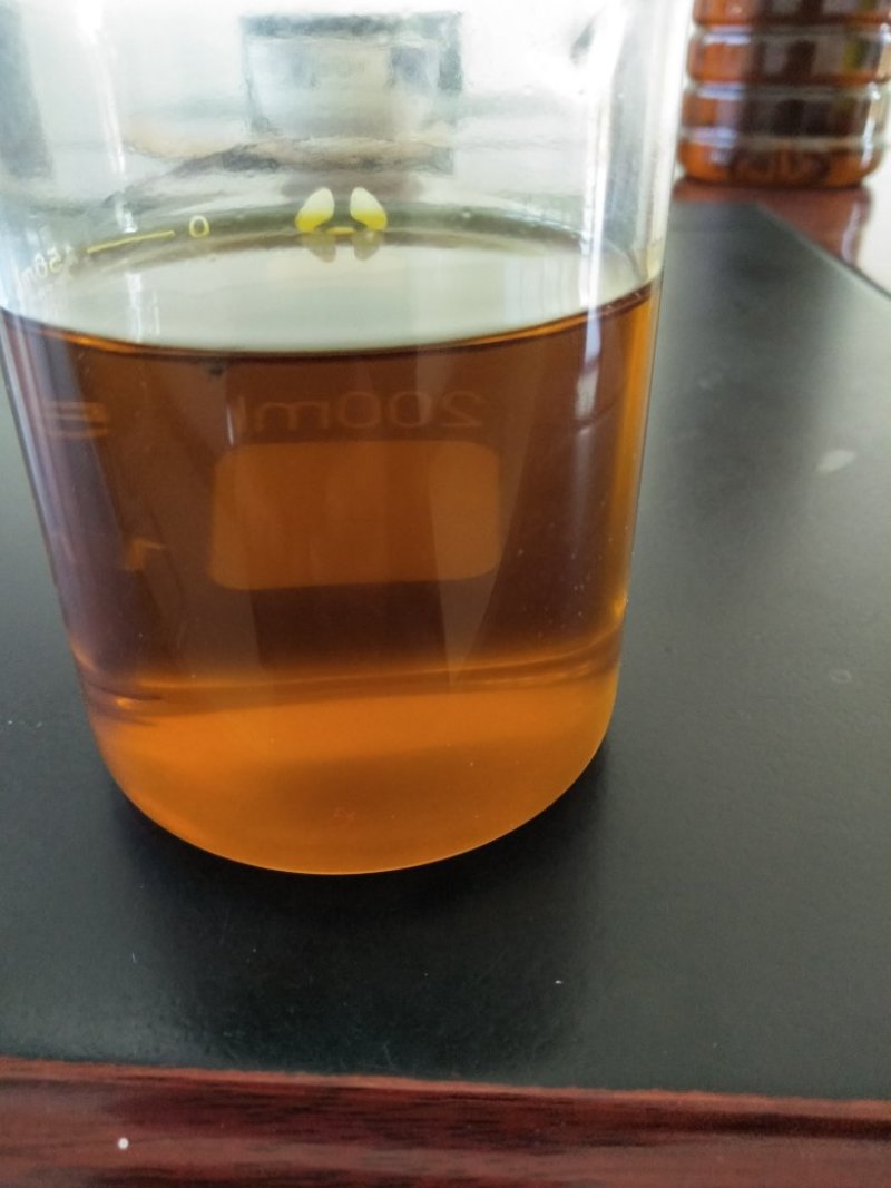 甘蓝型油菜籽