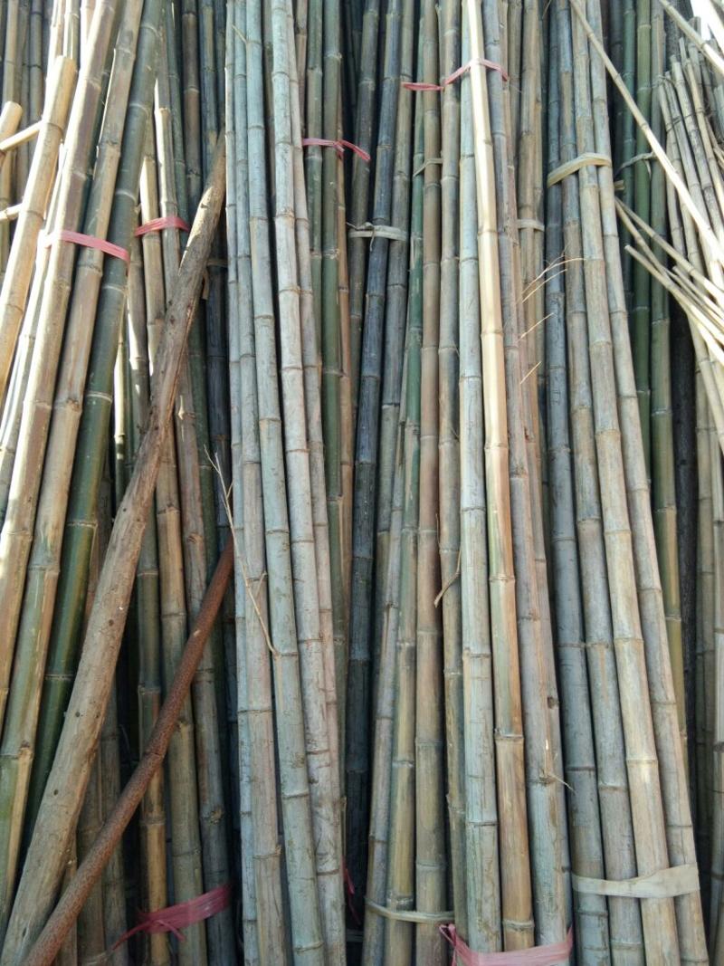 大楠竹，小竹竿，金竹，菜价竹，架板