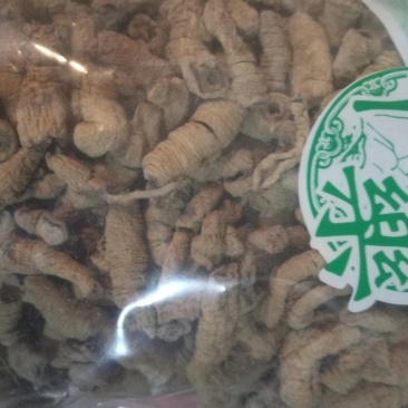 巴戟天1公斤起批