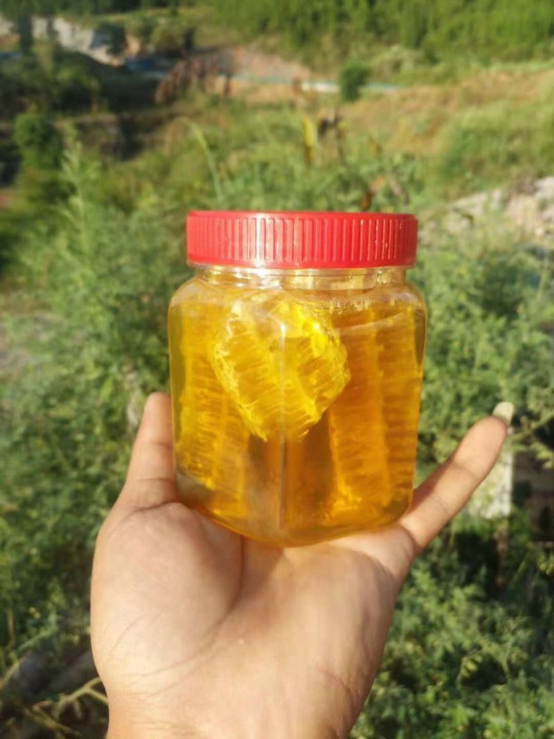 土蜂蜜一斤